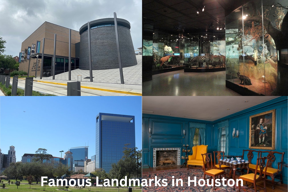 landmarks-in-houston-10-most-famous-artst